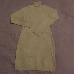 Garnet Hill merino wool turtleneck dress